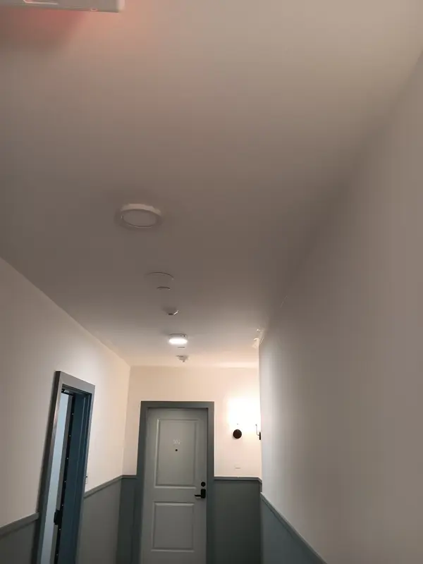 Corridor end with a gray-painted unit door, gray wainscot and white walls