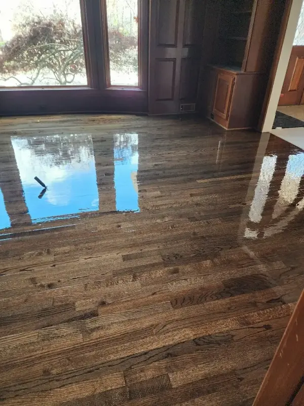 Dark stained hardwood floor with a high-gloss finish reflecting a bay window