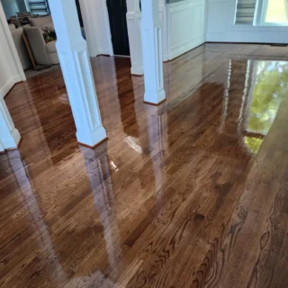 Painting and Remodeling Services 72